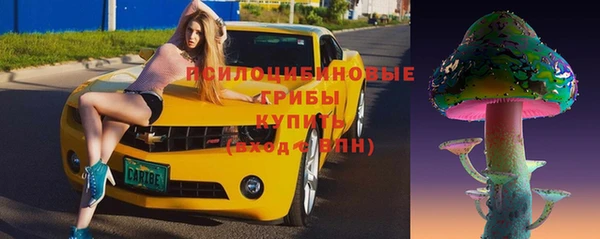 герыч Ельня