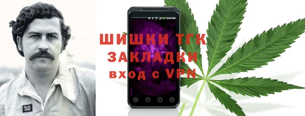 дживик Заводоуковск