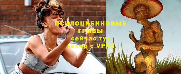 дживик Заводоуковск