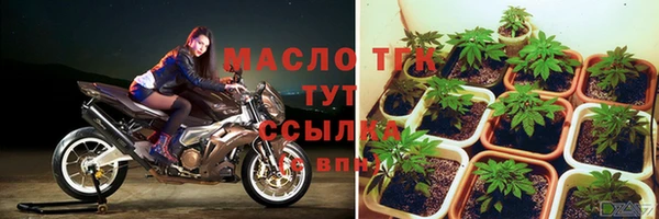 герыч Ельня