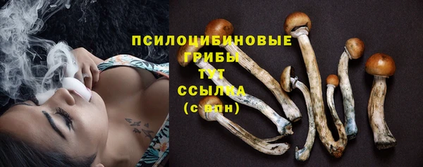 герыч Ельня